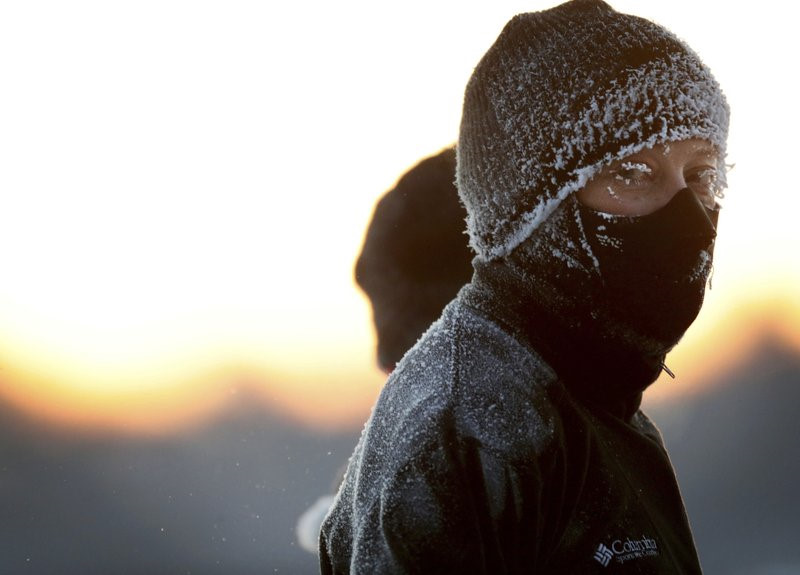 Nước Mỹ trong đợt sốc lạnh tới mức cá mập chết cóng